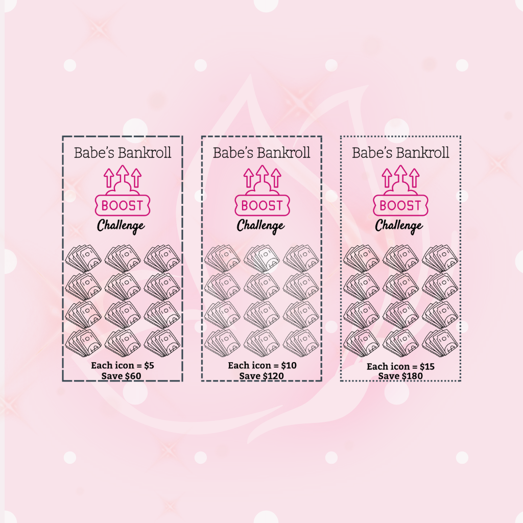 Babe's Bankroll Boost Challenge Bundle - 6 A6 Trackers