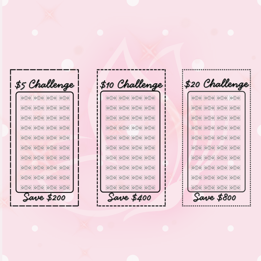 Dollar Bill Challenge 3-Pack Bundle Alternate - A6