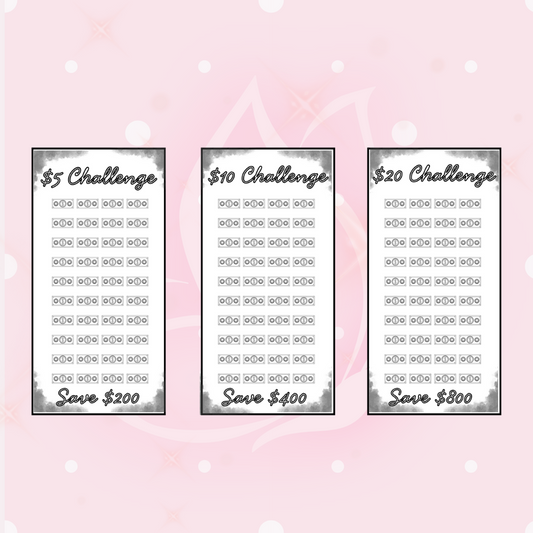 Dollar Bill Challenge 3-Pack Bundle - A6