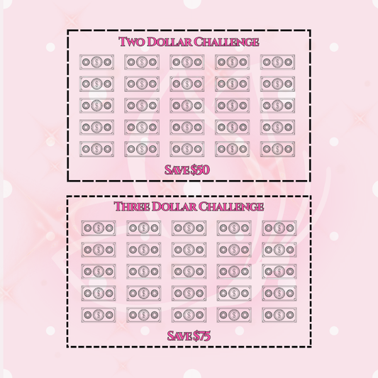 Dollar Savings Challenge Bundle - 4 A5 Trackers - pink