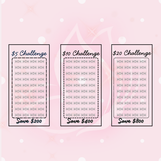 Dollar Bill Challenge 3-Pack Bundle - A6