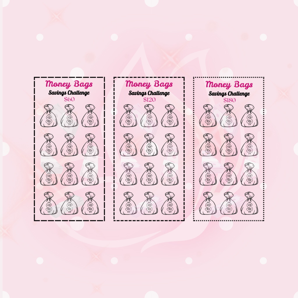 Money Bags Challenge - 3 A6 Trackers