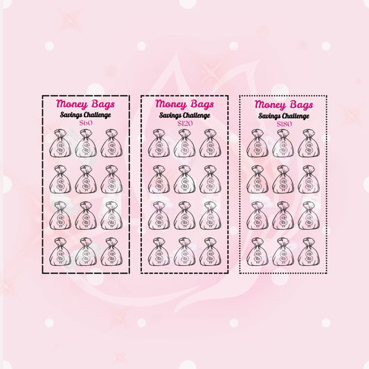Money Bags Challenge - 3 A6 Trackers