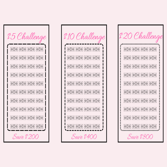 Dollar Bill Challenge 3-Pack Bundle - A6